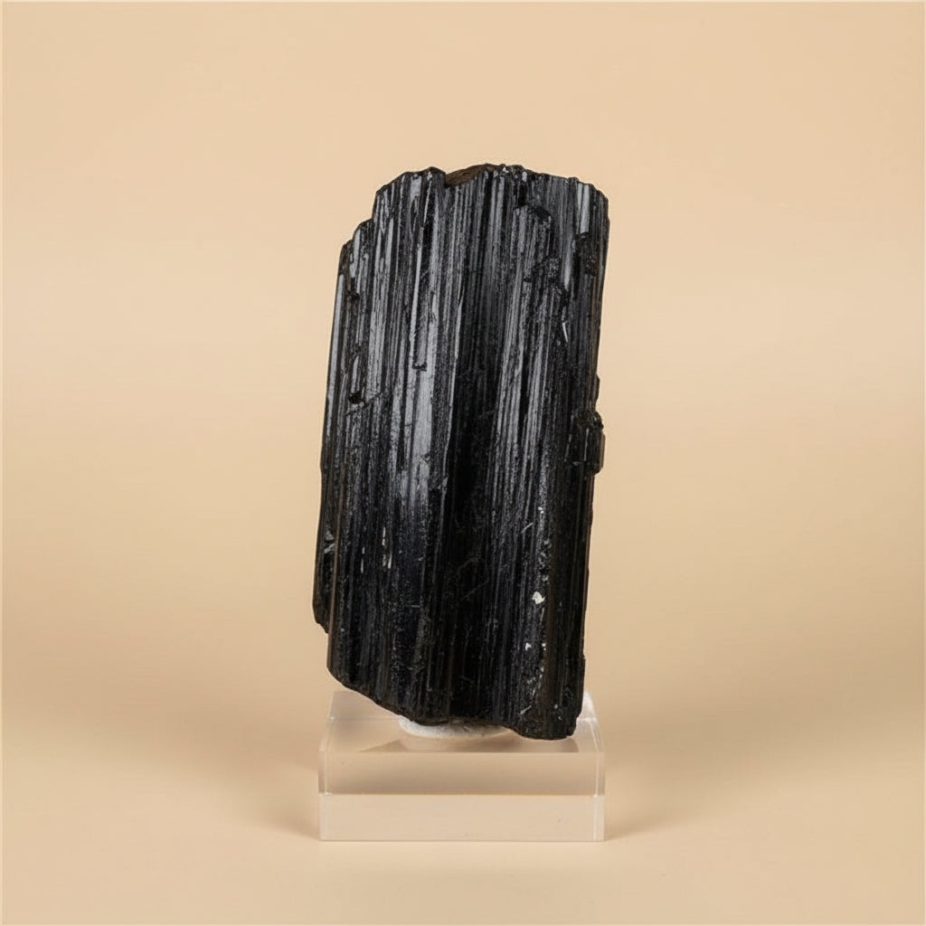 Tourmaline Noire Brute